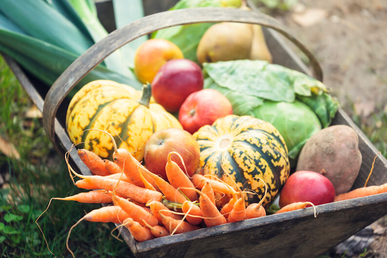 Embrace Autumn’s Bounty: Eat Fall Seasonal Produce