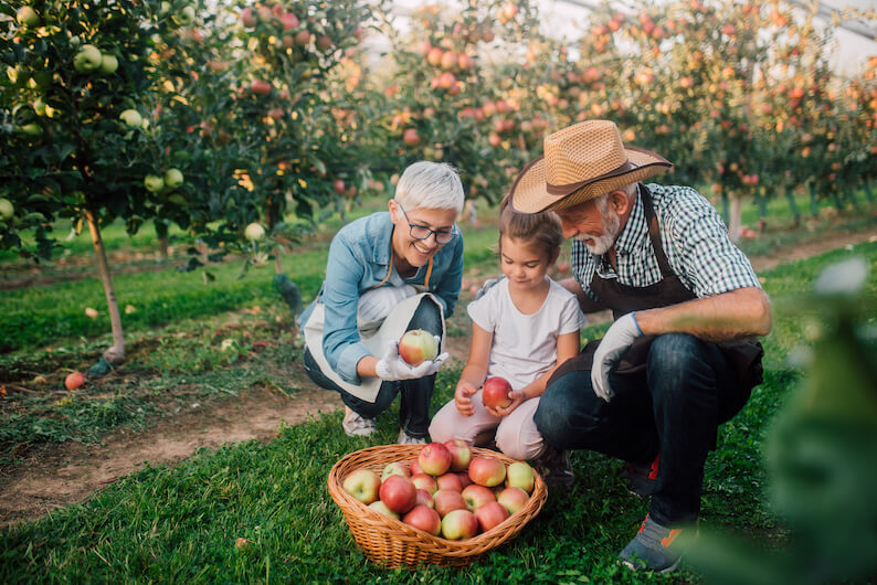 Fall Activities for Seniors That Boost Well-Being