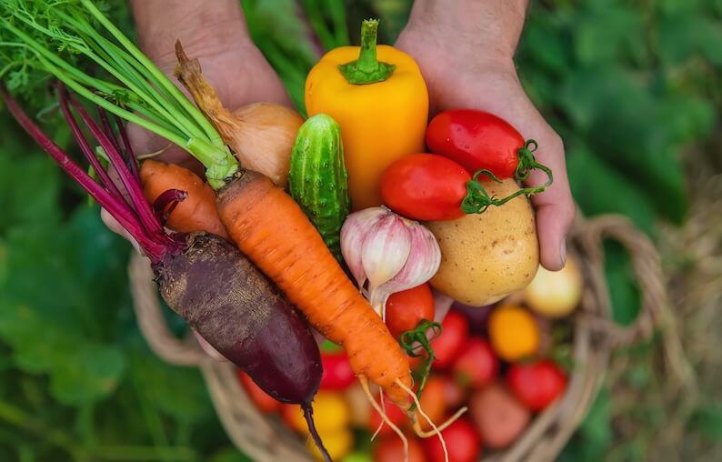 Celebrate National Eat Your Vegetables Day with a Crunchy, Colorful Feast